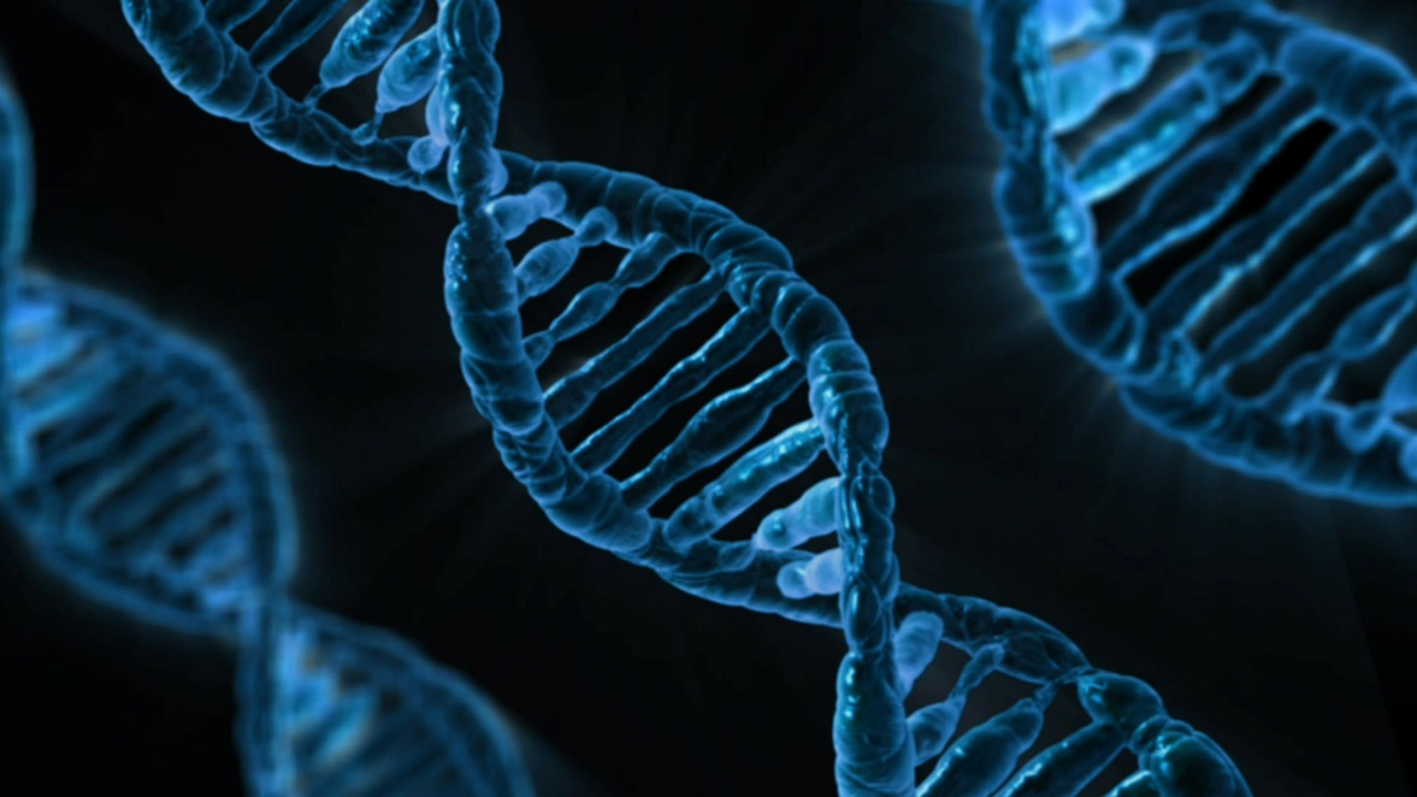 DNA-Doppelhelix